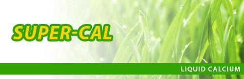 A green banner with grass and the words " local ".