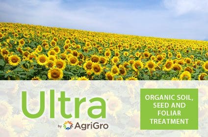 A field of sunflowers with the text " ultra by agrigro."